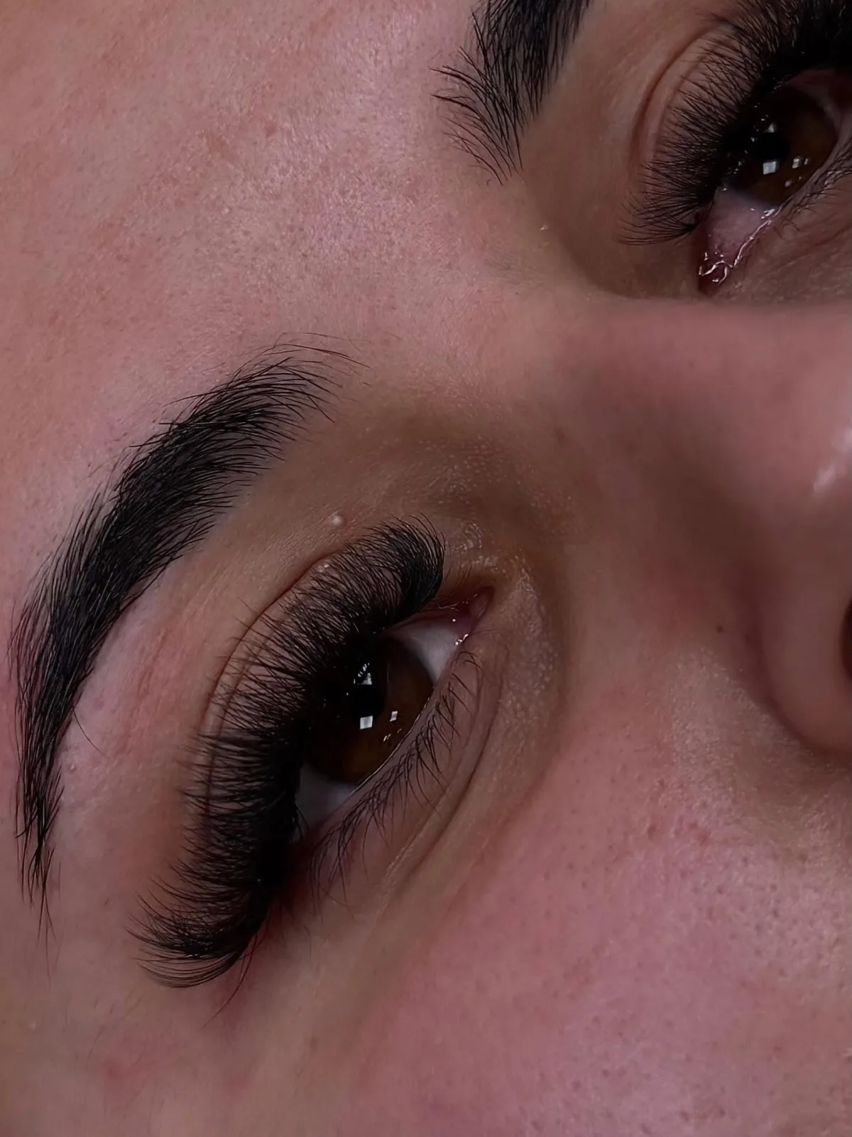 5 in 1 Lash Course training course